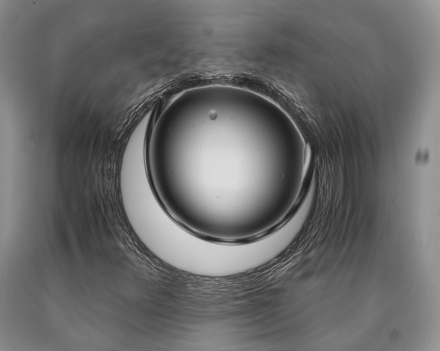 X0000090451348200707201305