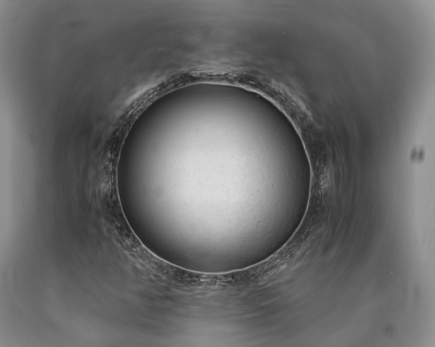 X0000090451350200707201305