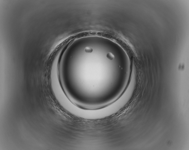 X0000090451352200707201305
