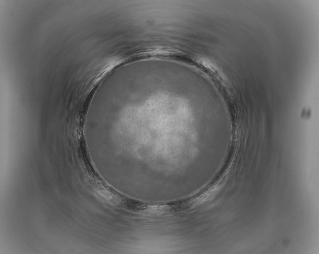 X0000090451353200707201305