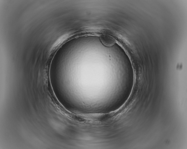 X0000090451354200707201305