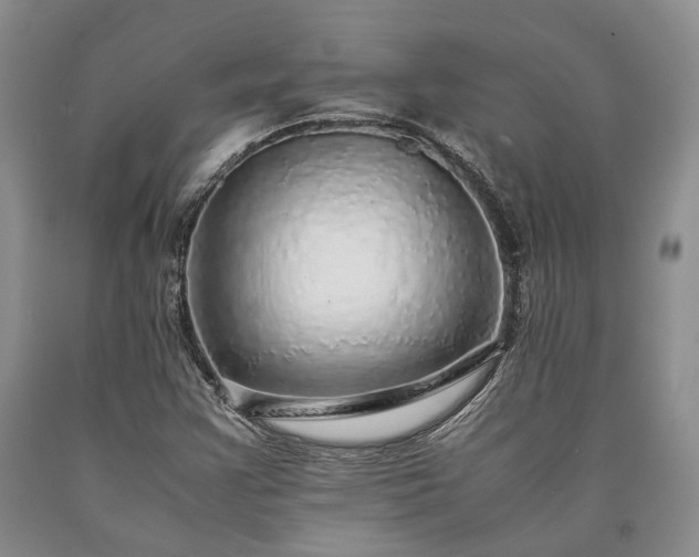 X0000090451355200707201305