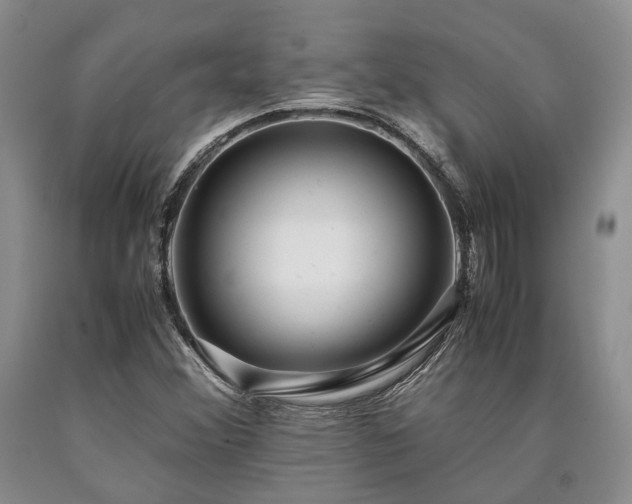 X0000090451356200707201305
