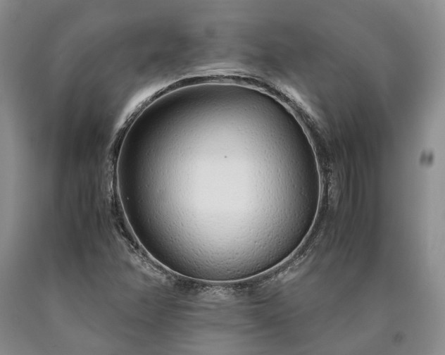 X0000090451358200707201305