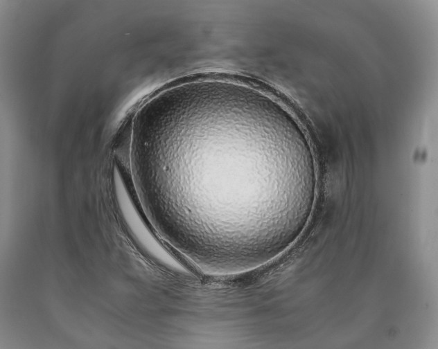 X0000090451359200707201305