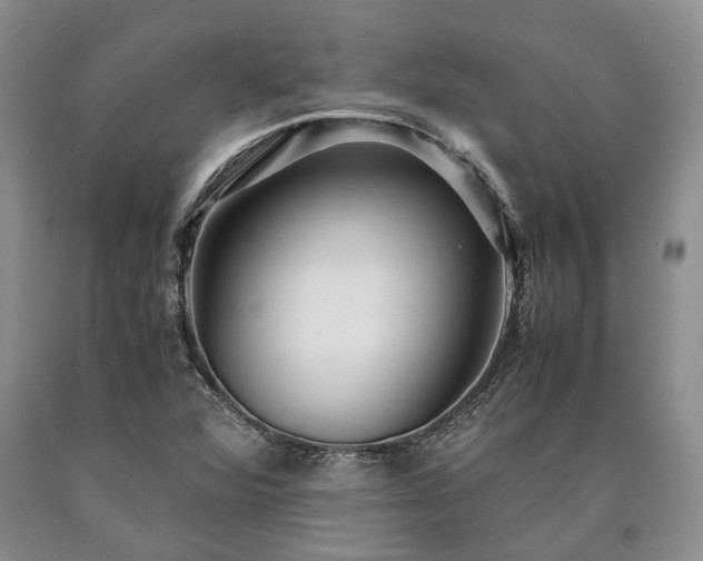 X0000090451360200707201305