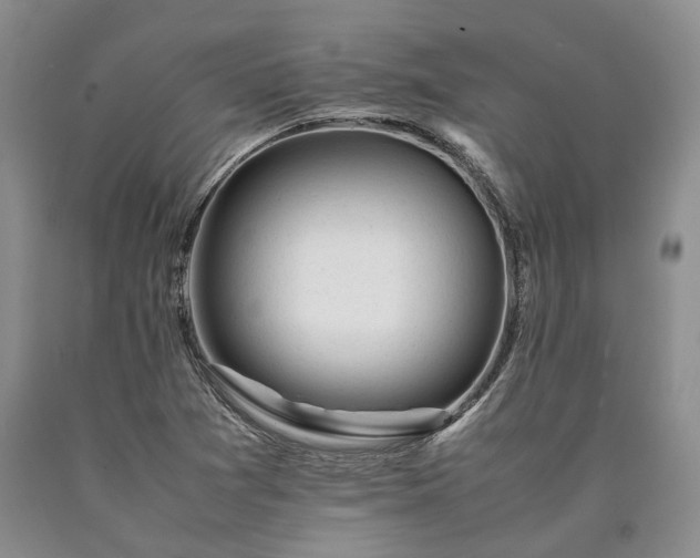 X0000090451361200707201305