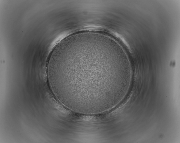 X0000090451362200707201305