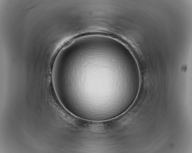 X0000090451363200707201305