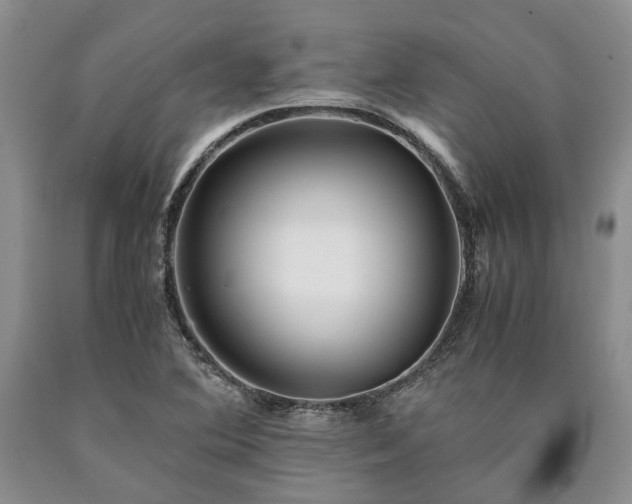 X0000090451364200707201305