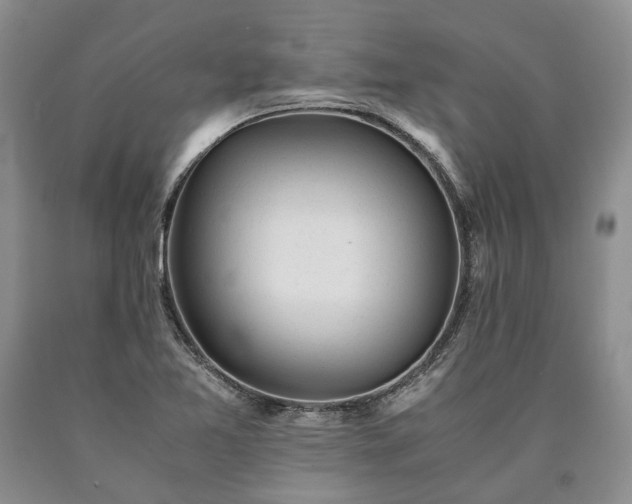 X0000090451365200707201305