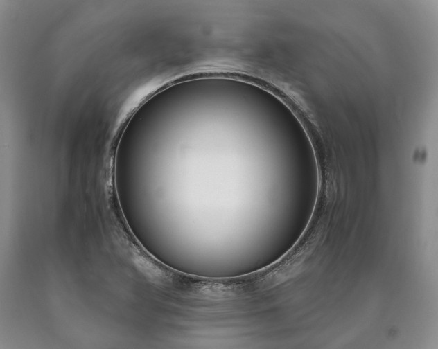 X0000090451366200707201305