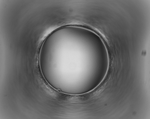 X0000090451367200707201305