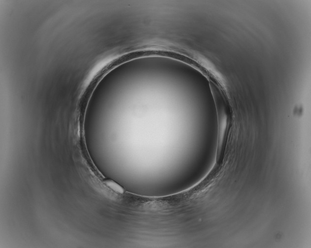 X0000090451368200707201305