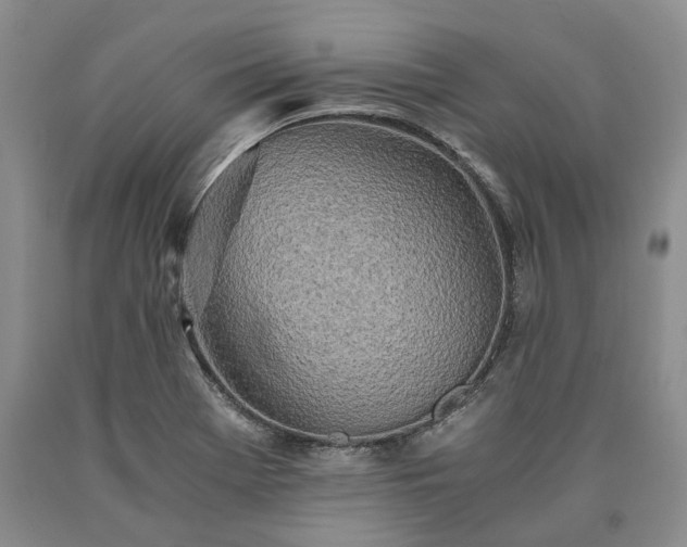 X0000090451369200707201305