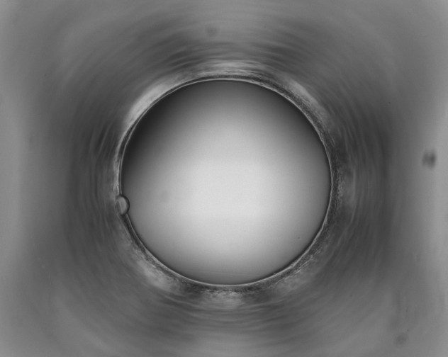 X0000090451370200707201305
