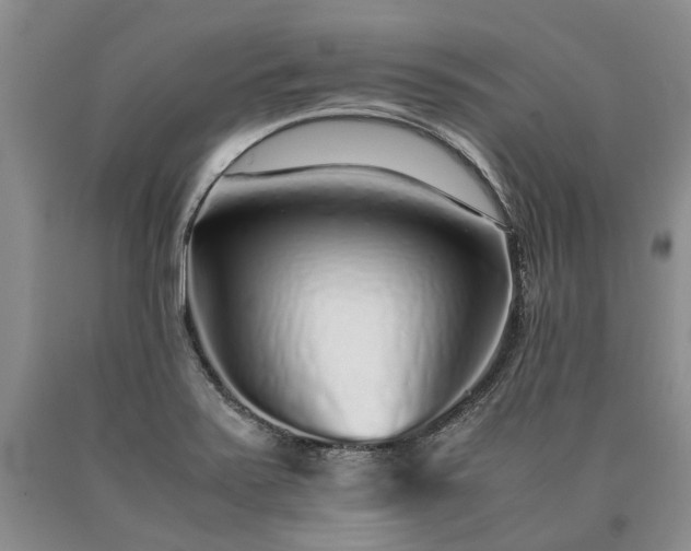 X0000090451371200707201305
