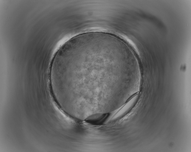 X0000090451373200707201305