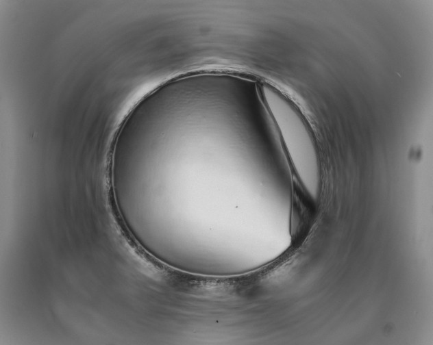 X0000090451375200707201305