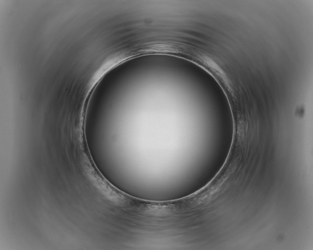 X0000090451378200707201305