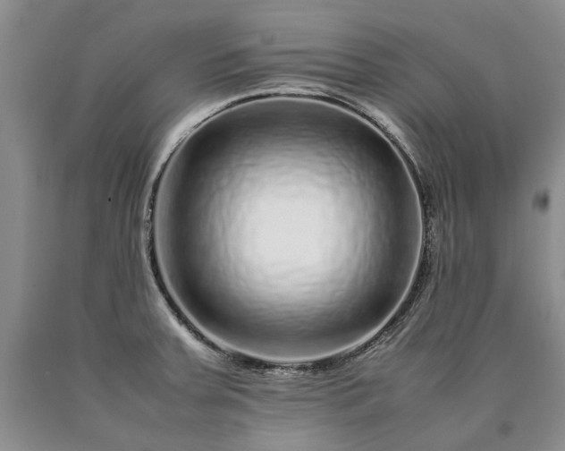 X0000090451379200707201305