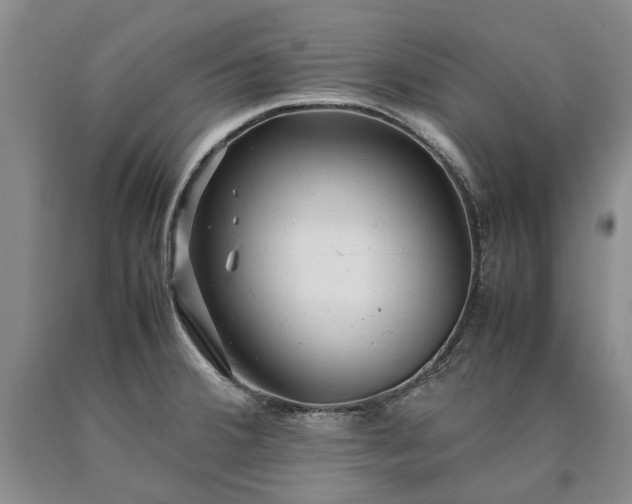 X0000090451380200707201305