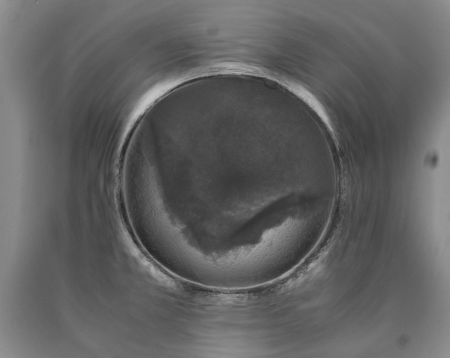 X0000090451381200707201305