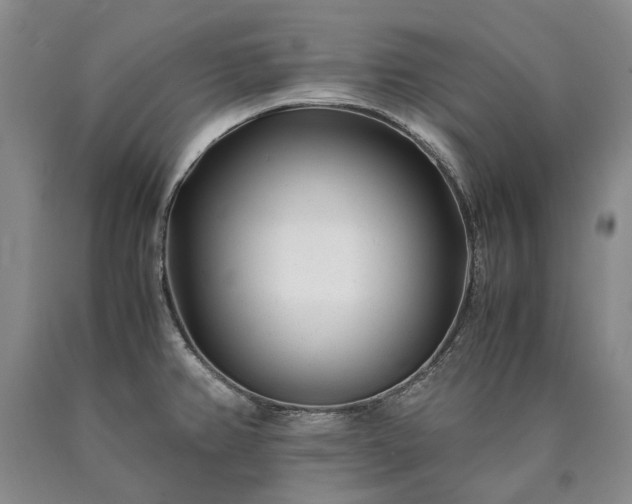 X0000090451382200707201305