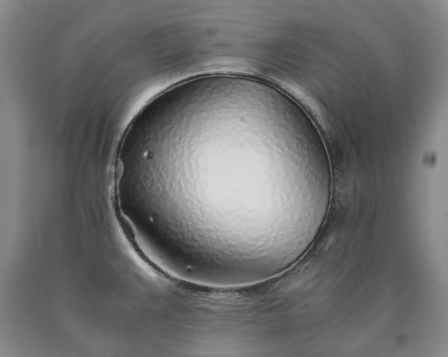 X0000090451383200707201305