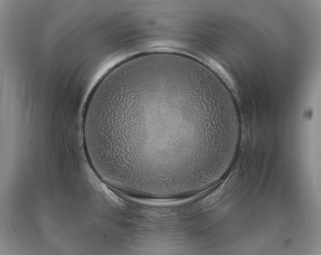 X0000090451384200707201305