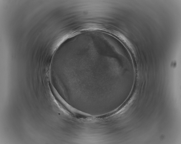 X0000090451385200707201305