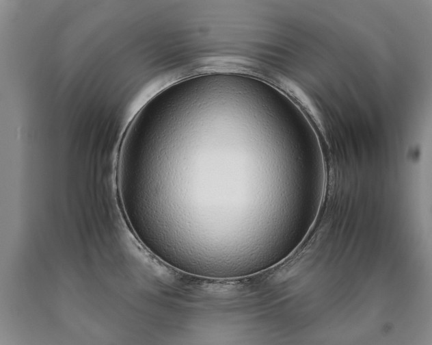 X0000090451386200707201305