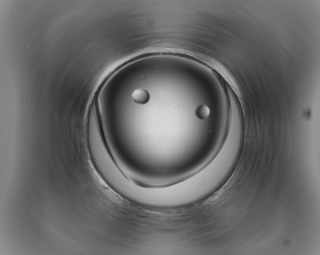 X0000090451388200707201305