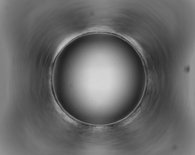 X0000090451390200707201305