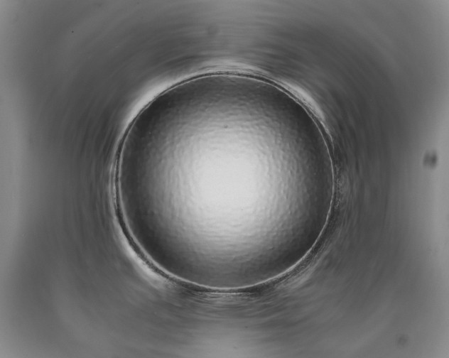 X0000090451391200707201305