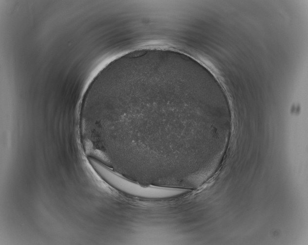 X0000090451392200707201305