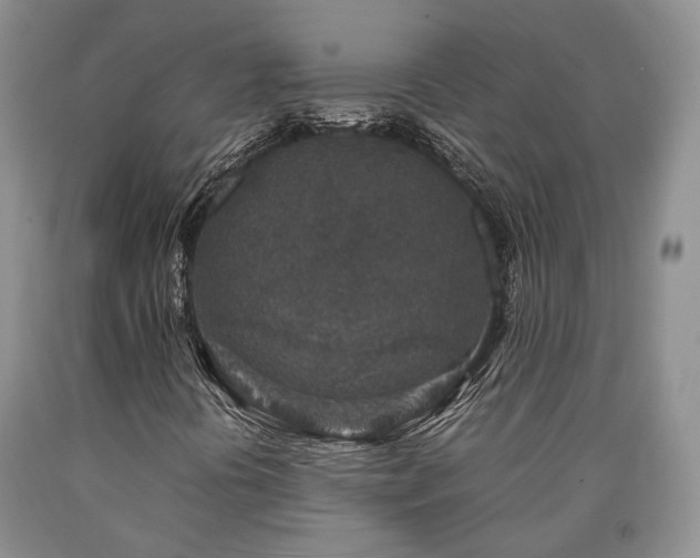 X0000090451394200707201304