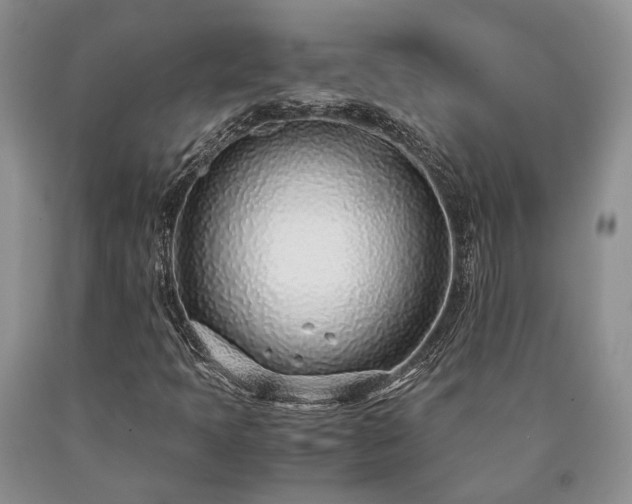 X0000090451397200707201304