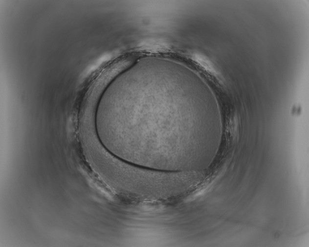 X0000090451398200707201304