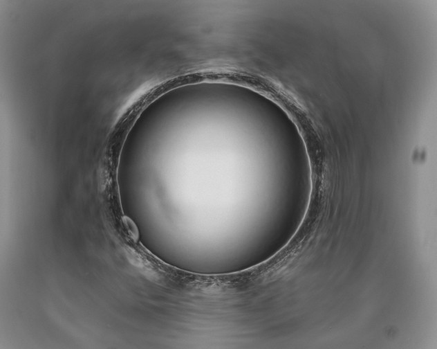 X0000090451400200707201304