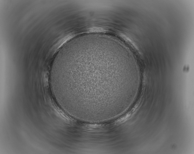 X0000090451401200707201304
