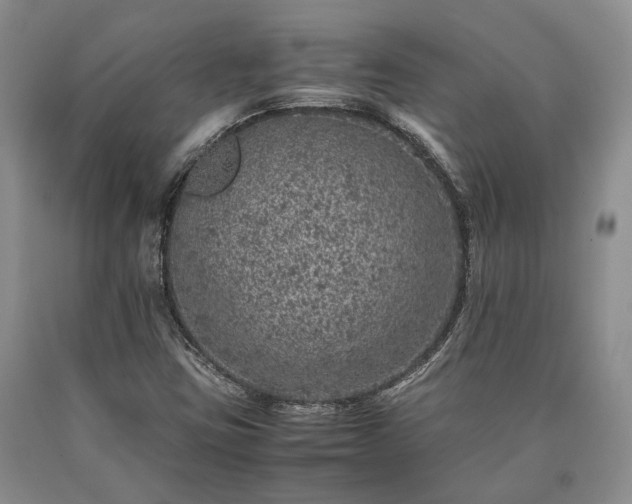 X0000090451403200707201304
