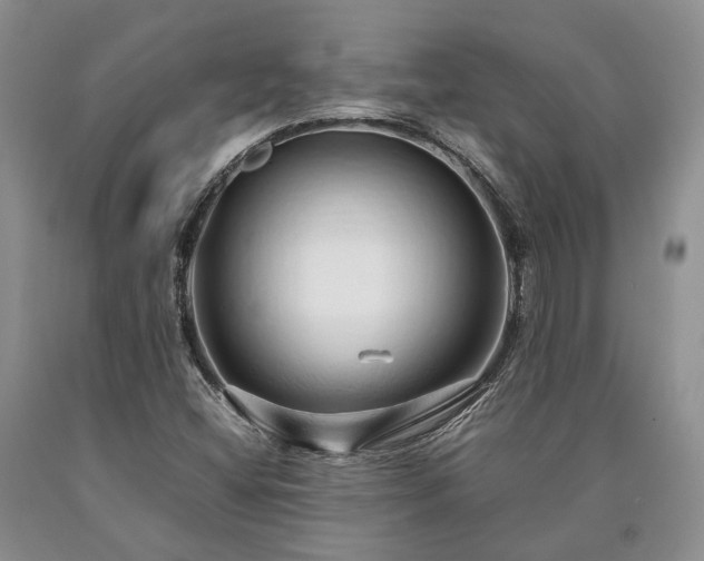 X0000090451404200707201304