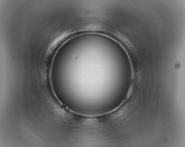 X0000090451406200707201304