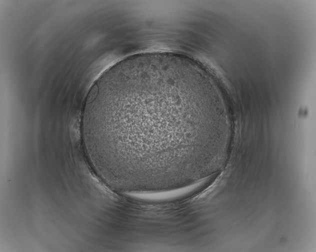 X0000090451409200707201304