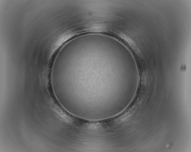 X0000090451410200707201304