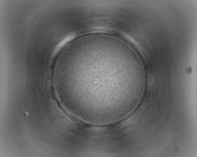 X0000090451411200707201304