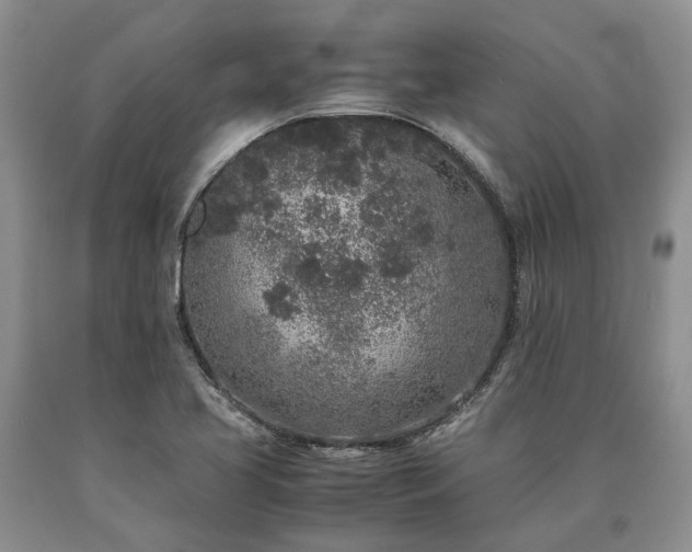 X0000090451413200707201304