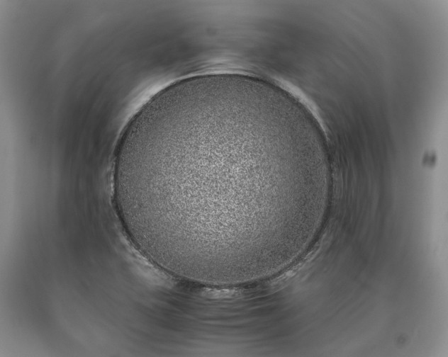 X0000090451415200707201304