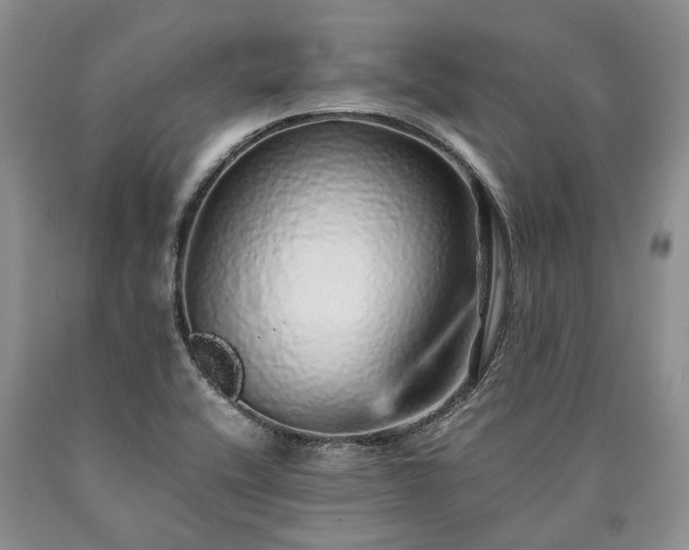 X0000090451416200707201304